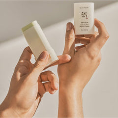 Matte sun stick : Mugwort+Camelia SPF50 PA++++ - koreanblossom