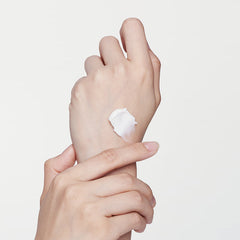 Bifida Cream - koreanblossom