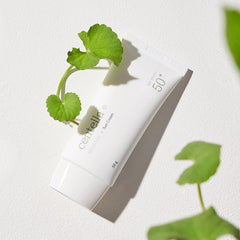 Centella Sun Cream SPF 50+ PA++++ - koreanblossom