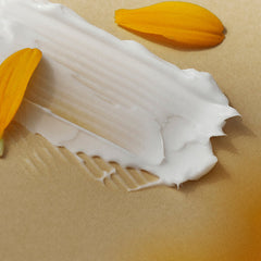 Bean Eye Cream - koreanblossom