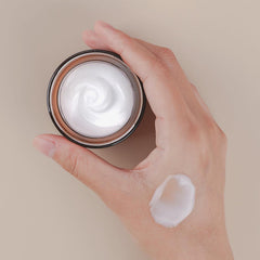 All In One Snail Repair Cream - koreanblossom