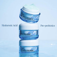 Waterfull Hyaluronic Acid Cream - koreanblossom