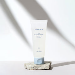Aloe Hy-ffective Cleanser - koreanblossom