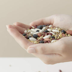 Vital Treatment 8 Nourishing Beans Essence - koreanblossom