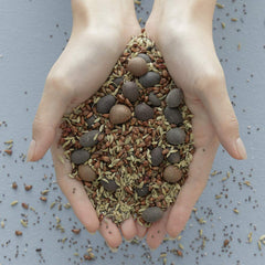 Vital Treatment 9 Essential Seeds - koreanblossom