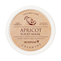 Apricot Food Mask - koreanblossom