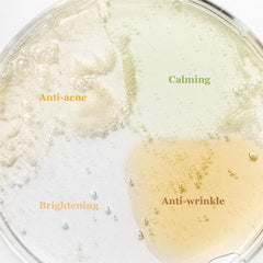 Hanbang Serum Discovery Kit - koreanblossom