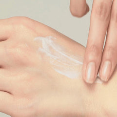 Houttuynia Cordata Calming Moisture Sun Cream SPF50+ PA++++ - koreanblossom