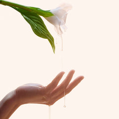 Reviving Rose Infusion Serum - koreanblossom