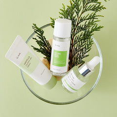 Centella Mini Set - koreanblossom