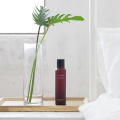 Real Black Tea True Active Essence - koreanblossom