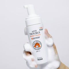 Anti Trouble Bubble Cleanser - koreanblossom