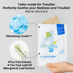 No.4 Icy Soothing Sheet Mask - koreanblossom