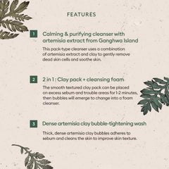 Time Revolution Artemisia Pack Foam Cleanser - koreanblossom