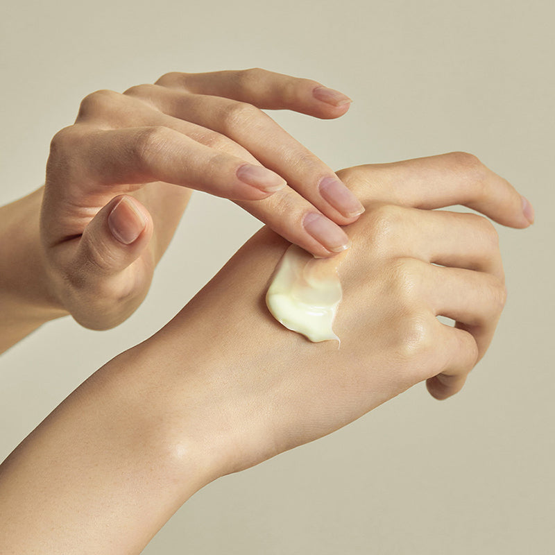 SOLID-IN Ceramide Cream - koreanblossom