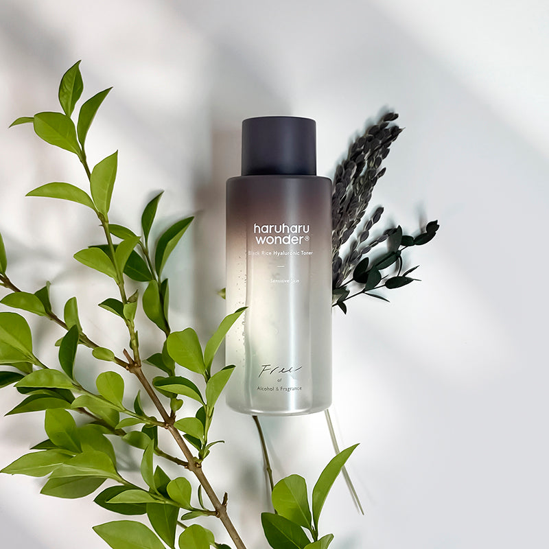 Black Rice Hyaluronic Toner - Free of Alcohol & Fragrance - koreanblossom