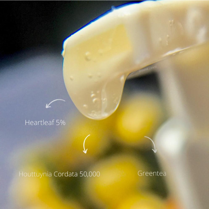 Heartleaf O2 Bubble Wash Off Mask Pack - koreanblossom