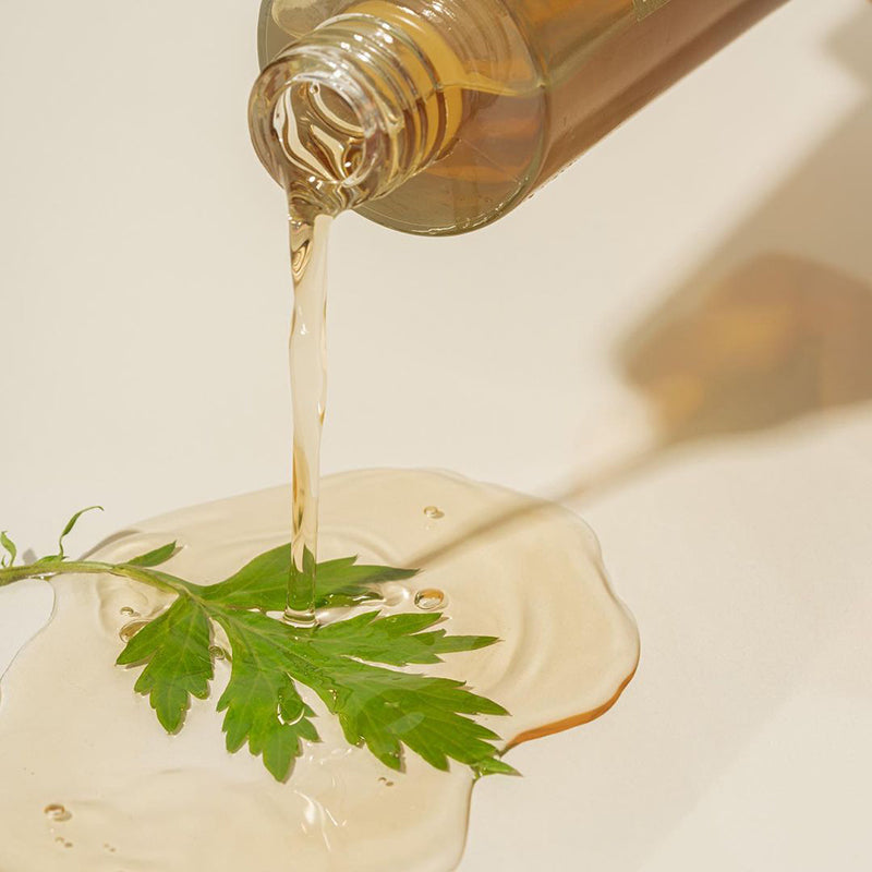 Mugwort Essence - koreanblossom