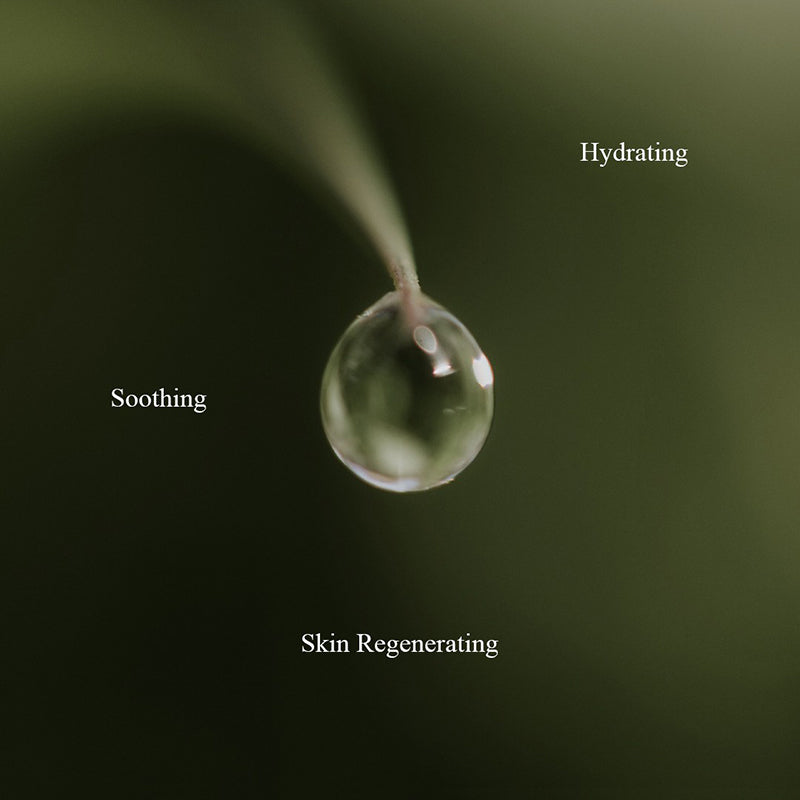 Cica Skin Calming Toner - koreanblossom