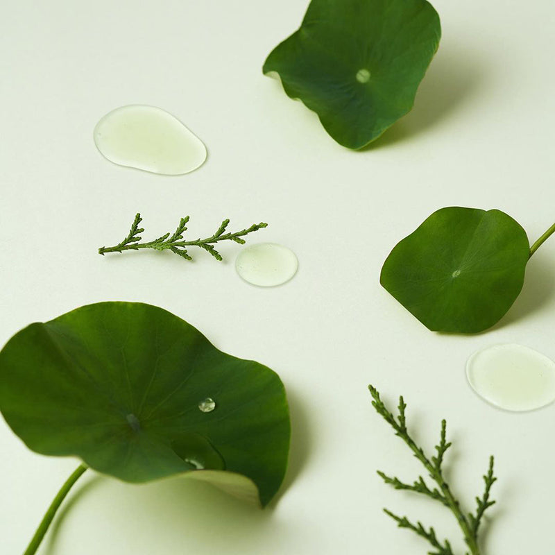 Clear Code Superfruit Serum - koreanblossom