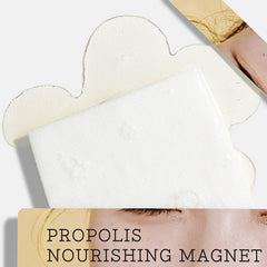 Full Fit Propolis Nourishing Magnet Sheet Mask - koreanblossom