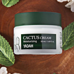 Cactus Cream - koreanblossom