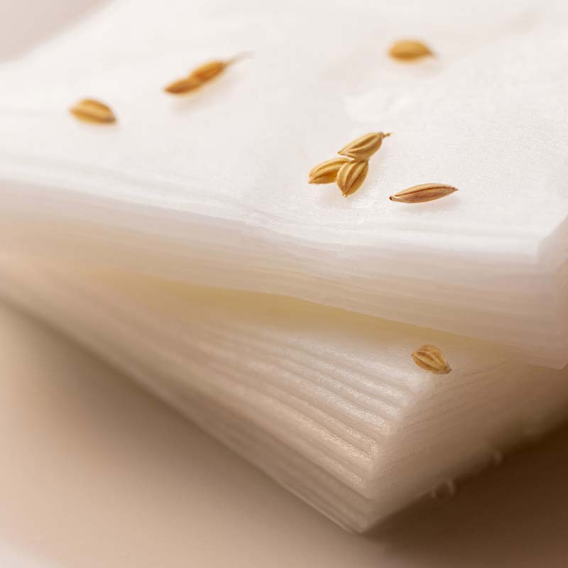 Galactomyces Glutathione Daily Mask - koreanblossom