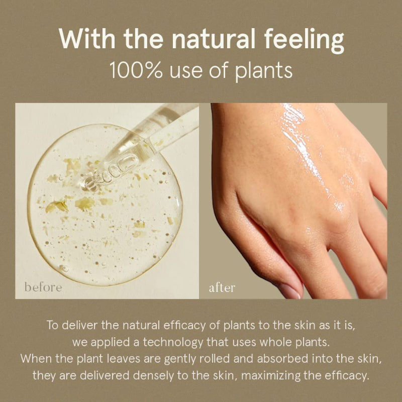 Centella Asiatica Serum - koreanblossom