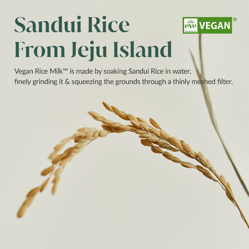 Vegan Rice Milk Moisturizing Cream - koreanblossom