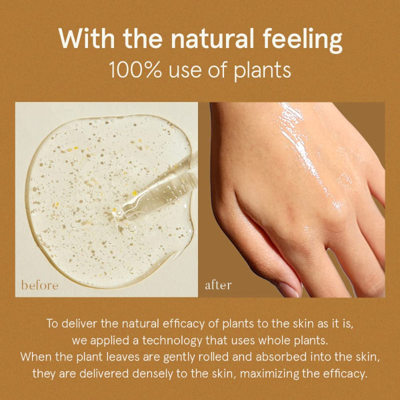 Tangerine Serum - koreanblossom