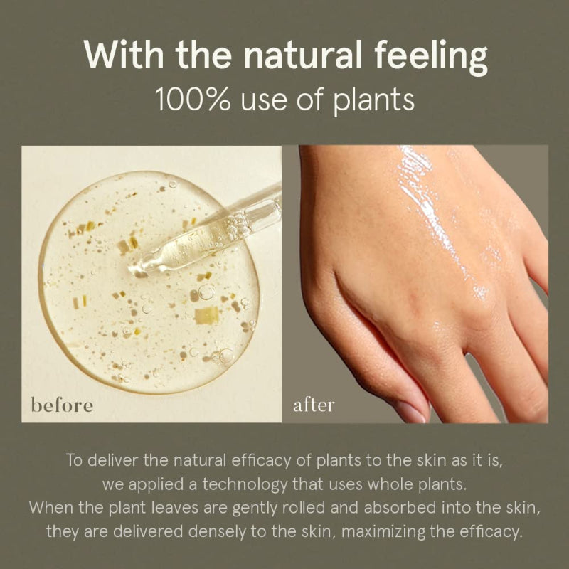 Green Tea Serum - koreanblossom