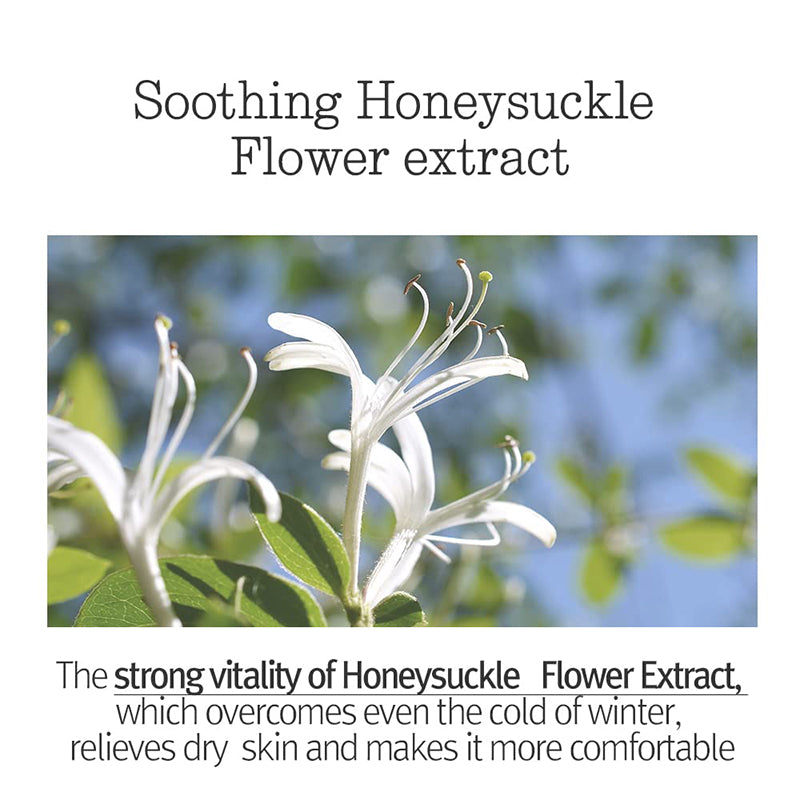 Sleeping Mask - koreanblossom