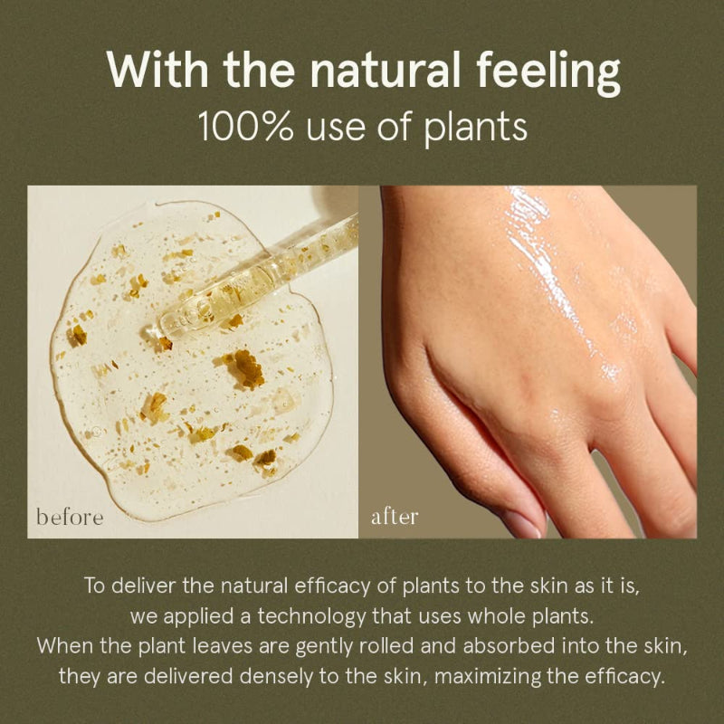 Houttuynia Cordata Serum - koreanblossom