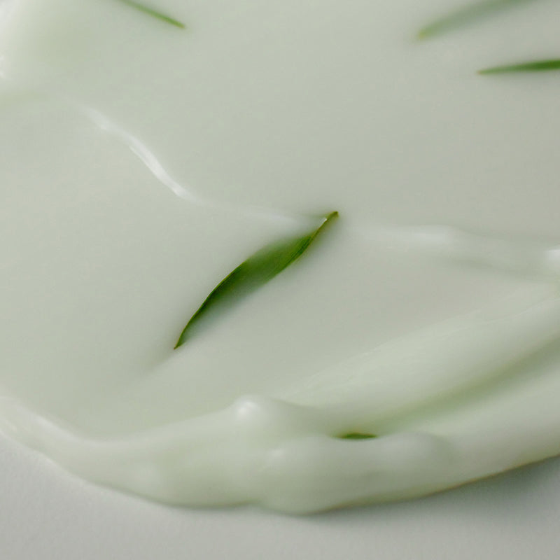 AHA BHA PHA 30 Days Miracle Cream - koreanblossom