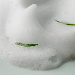 AHA BHA PHA 30 Days Miracle Acne Clear Foam - koreanblossom