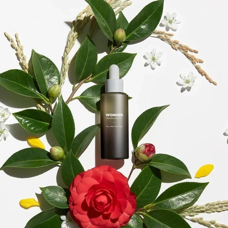 Black Rice Facial Oil - koreanblossom