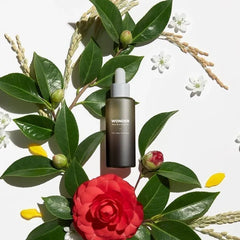 Black Rice Facial Oil - koreanblossom