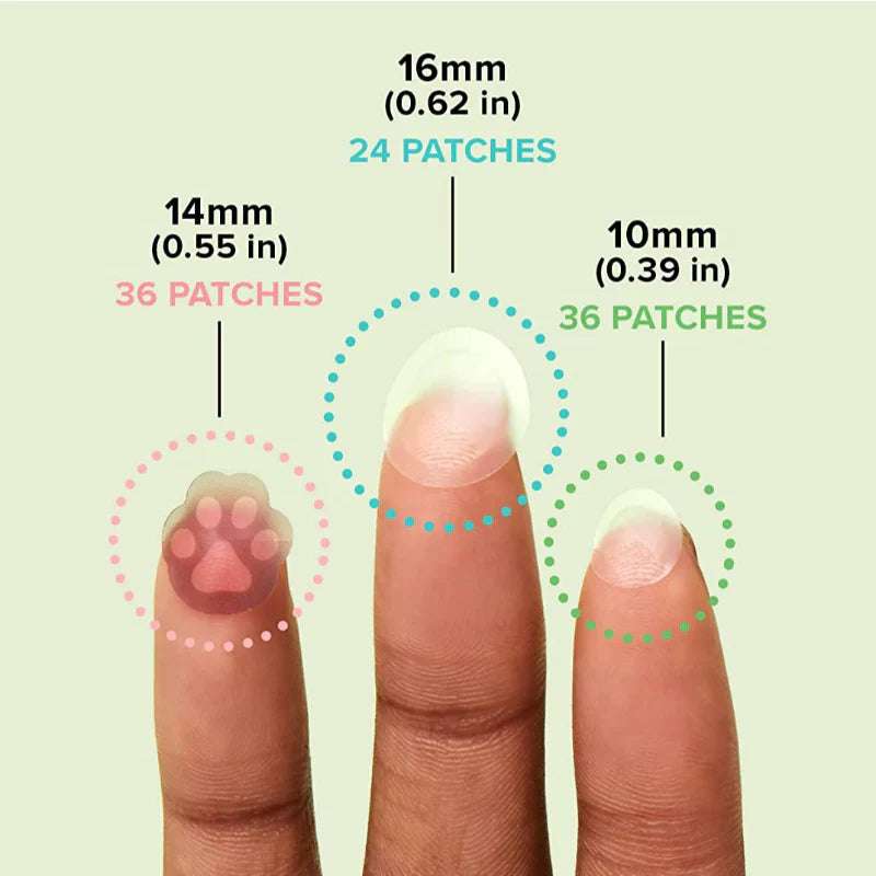 Meet Your Patch - koreanblossom