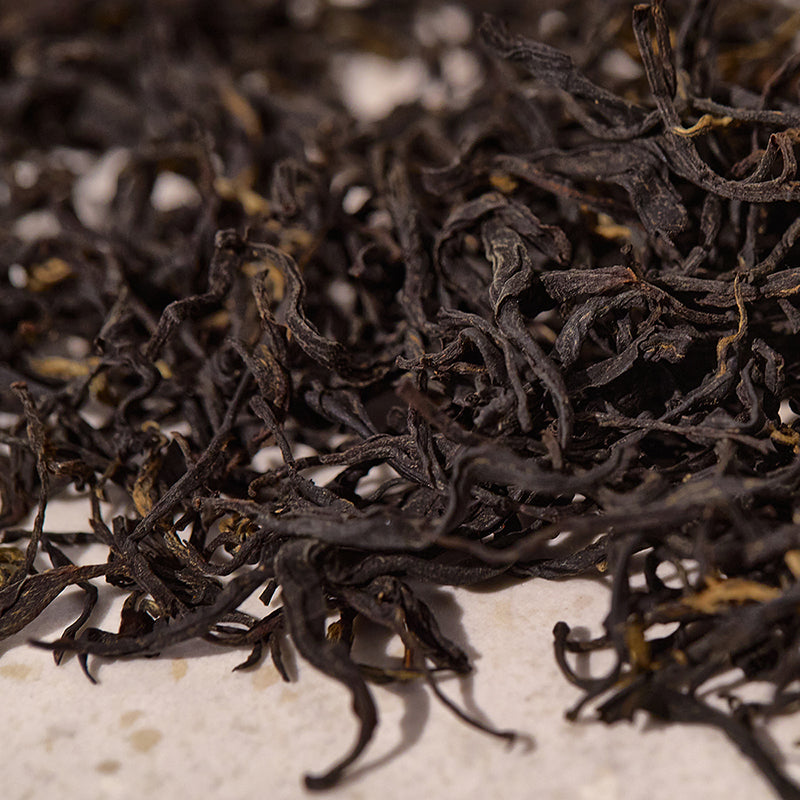 Kombu Barrier Ampoule - koreanblossom