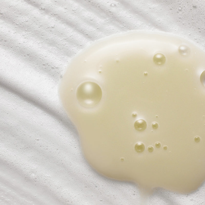 Green Tea & Enzyme Milky Foaming Wash - koreanblossom