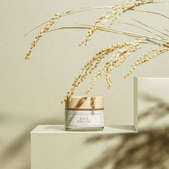 Rice Cream - koreanblossom