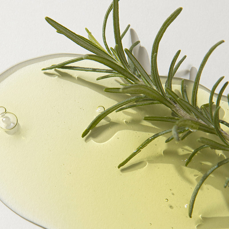 Rosemary AHA Night Serum - koreanblossom