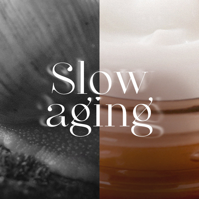 Snail Repair Eye Cream - koreanblossom