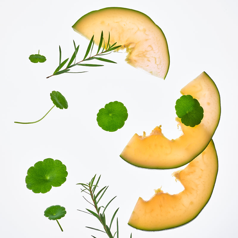 Cica Calming Powder Wash - koreanblossom