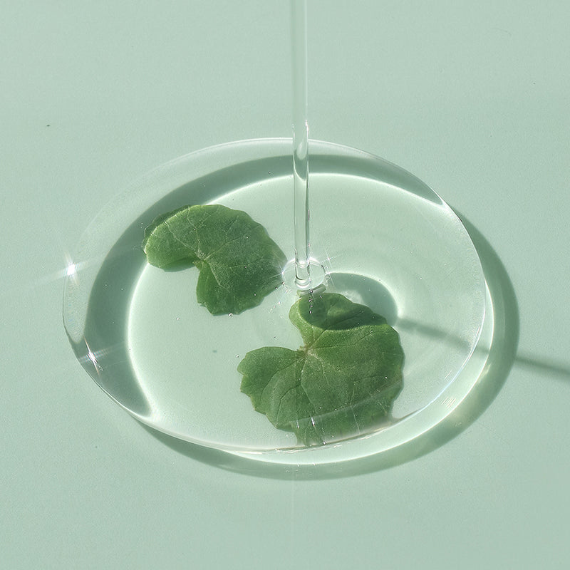 Tea Tree Relief Serum - koreanblossom