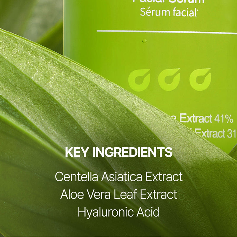 Super Soothing Cica & Aloe Facial Serum - koreanblossom