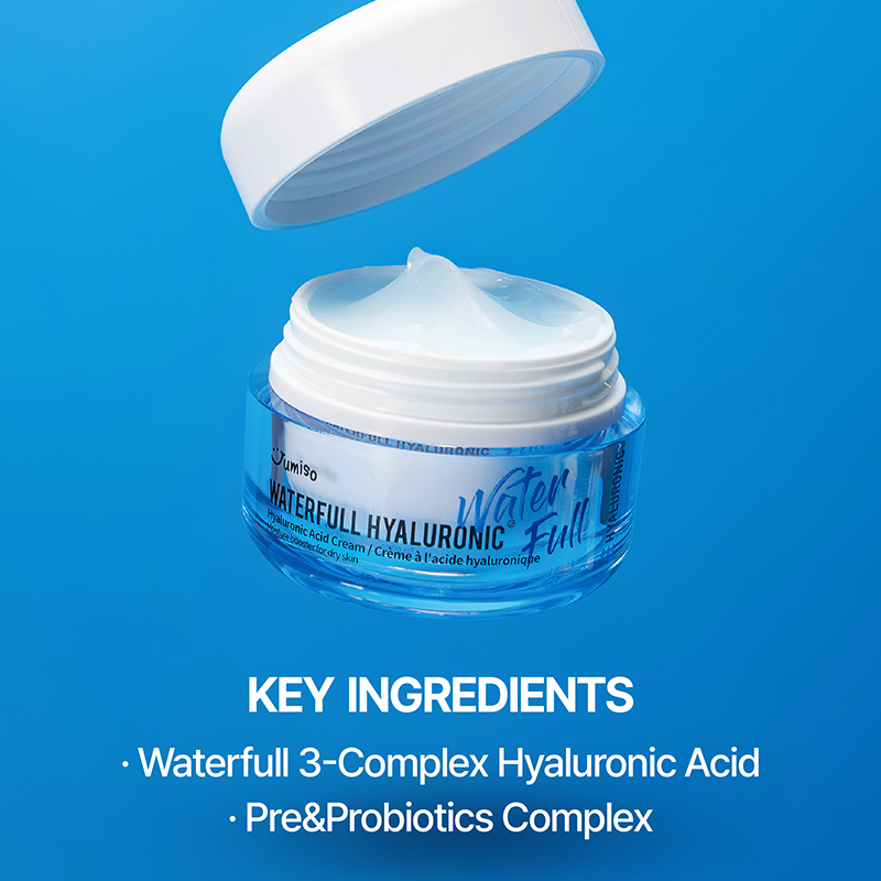 Waterfull Hyaluronic Acid Cream - koreanblossom