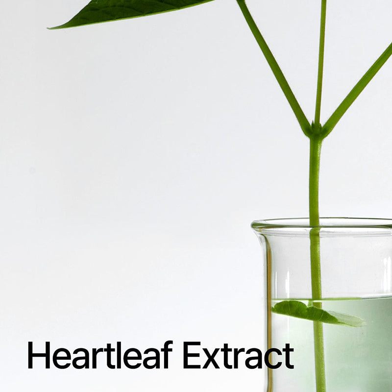 Heartleaf Pore Control Cleansing Oil - koreanblossom