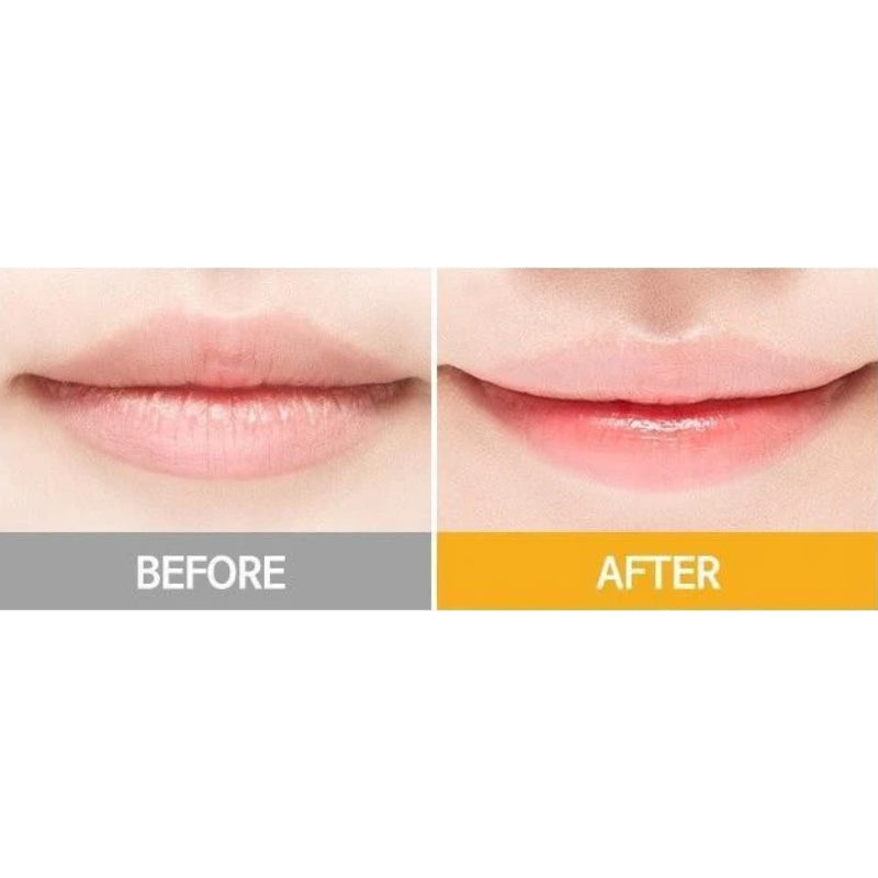 Honey & Milk Lip Balm - koreanblossom