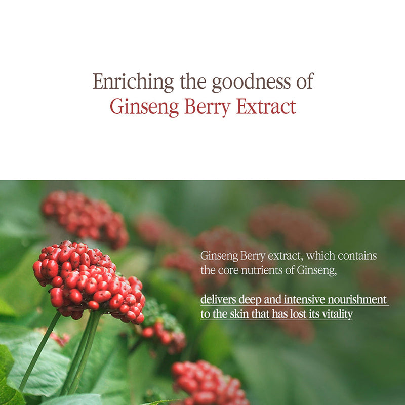 Black Tea Boosting Serum - koreanblossom